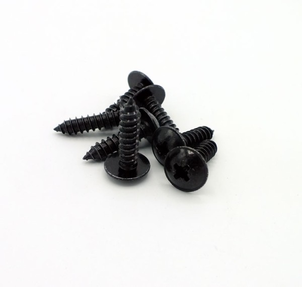 12477 Adam Hall 5541BLK Flachkopfschraube 19mm VPE100St.